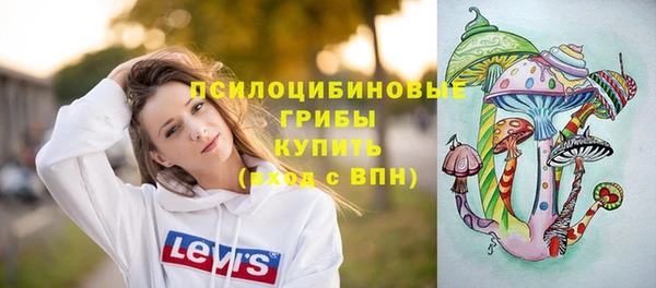 стафф Верея