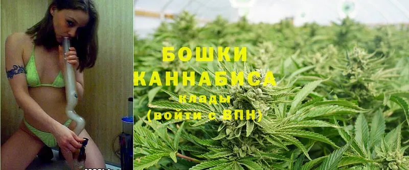 наркотики  Кимры  Бошки марихуана LSD WEED 